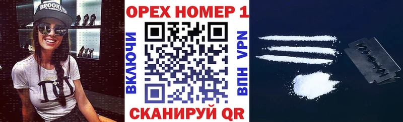 Купить закладки  Сураж  Cocaine Эквадор 