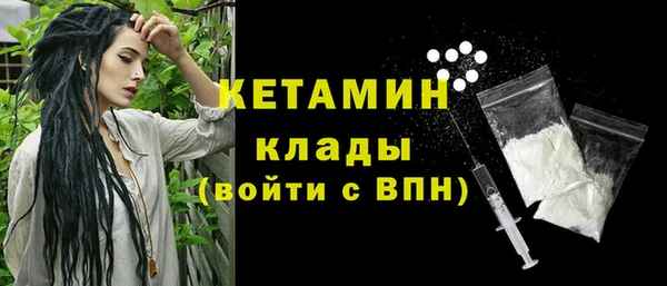 шишки Ельня