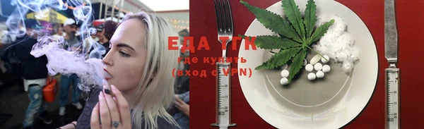 шишки Ельня