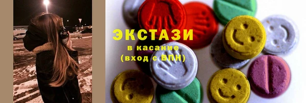 шишки Ельня