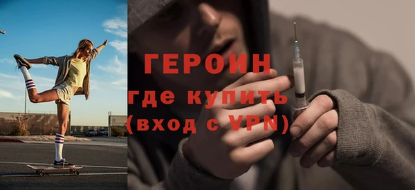 шишки Ельня