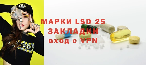 шишки Ельня