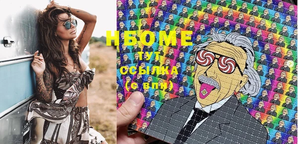 шишки Ельня