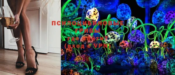 ГАЛЛЮЦИНОГЕННЫЕ ГРИБЫ Елизово