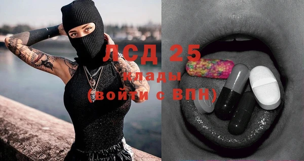 ГАЛЛЮЦИНОГЕННЫЕ ГРИБЫ Елизово