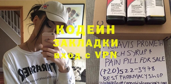 шишки Ельня