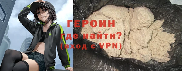 шишки Ельня