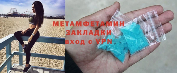 шишки Ельня