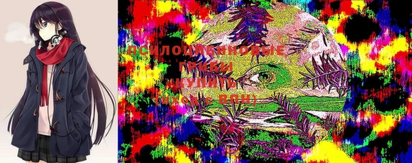 ГАЛЛЮЦИНОГЕННЫЕ ГРИБЫ Елизово