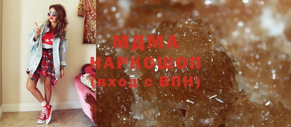шишки Ельня